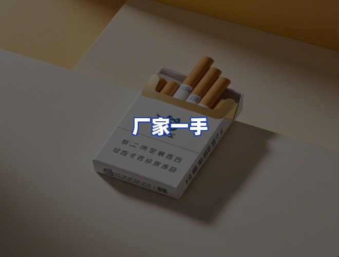 专业团队